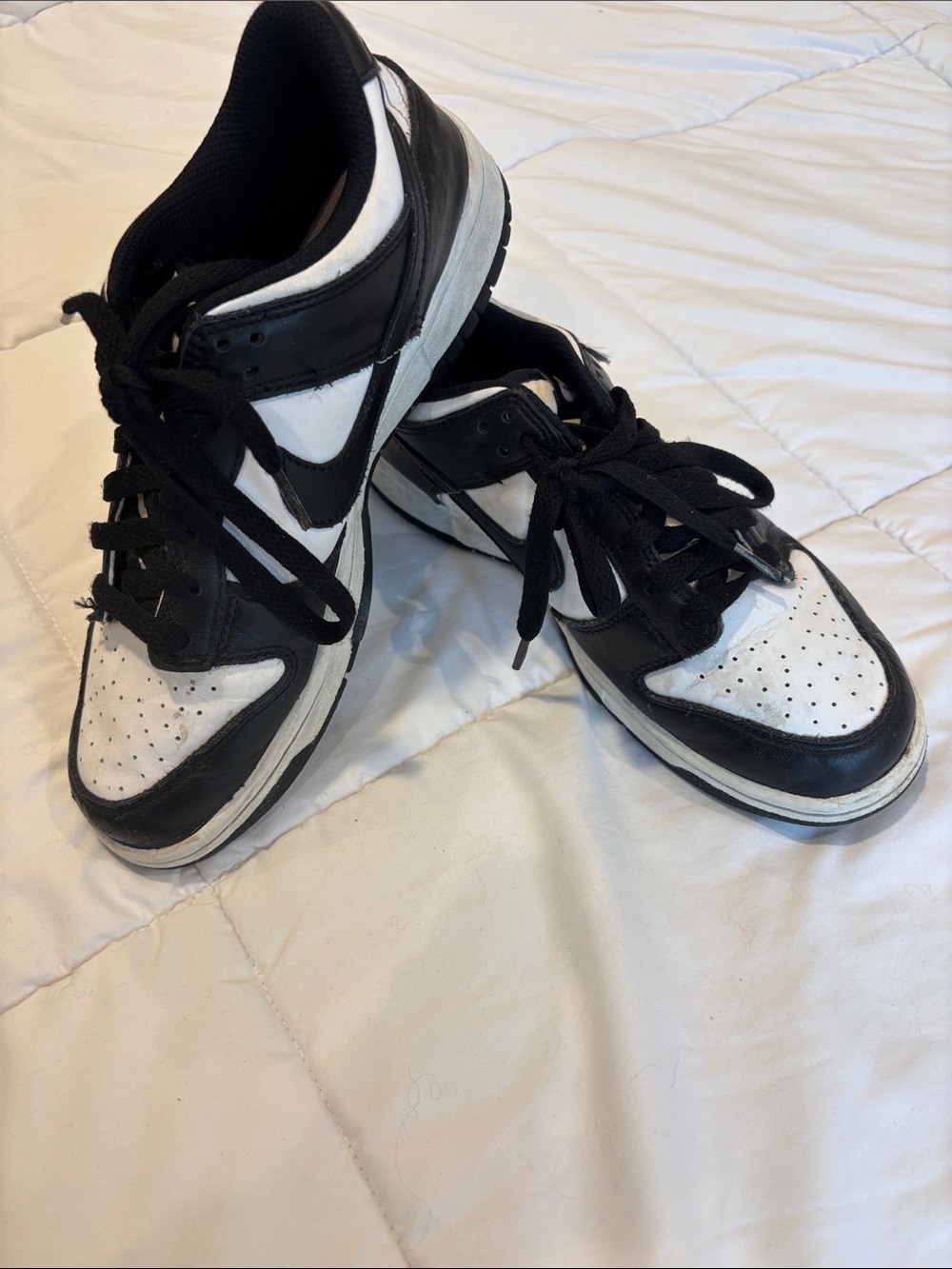 Women’s Nike dunks Low-Top Sneakers